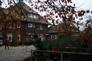 Kerstbomen 21   