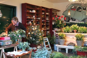 Kerstbomen 8   